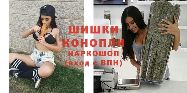 бошки Горняк