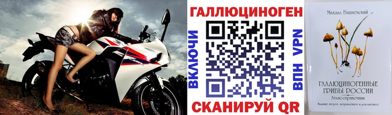 Псилоцибиновые грибы MAGIC MUSHROOMS  наркота  Димитровград 